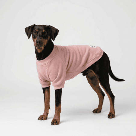 Everyday Sweater