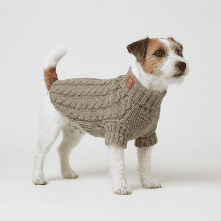 Jersei de Punt per Gos Cable Sweater Cosy