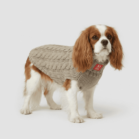 Jersei de Punt per Gos Cable Sweater Cosy
