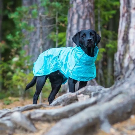Impermeable bàsic blau per a gos Hase