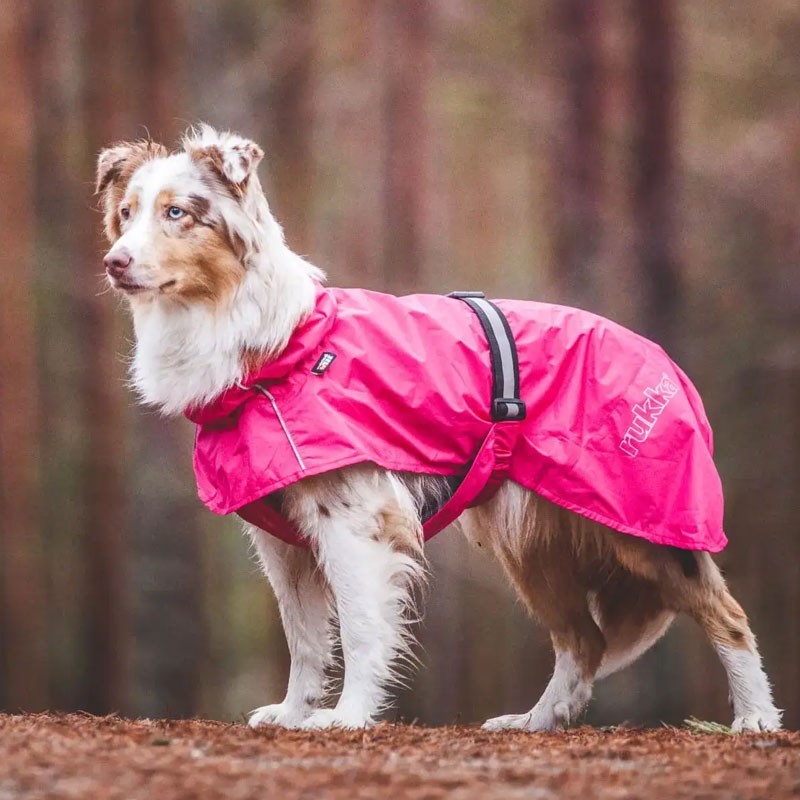 Chubasquero básico rosa Hase para perro