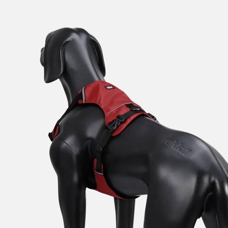 Arnés Rukka Pets Hike ajustable para perro | Smartdog
