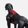 Arnés Rukka Pets Hike ajustable para perro | Smartdog