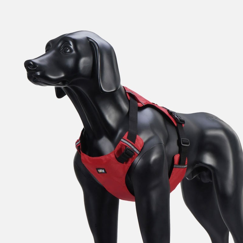 Arnés Rukka Pets Hike ajustable para perro | Smartdog