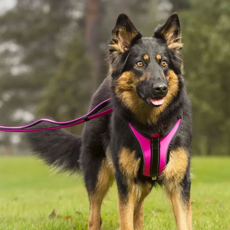 Arnés Rukka Solid rosa ajustable para perro | Smartdog