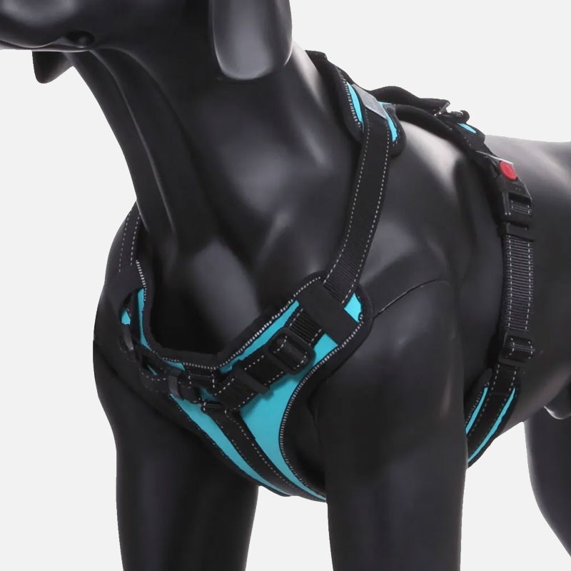 Arnés Rukka Pets Solid Turquesa ajustable en Y | Smartdog