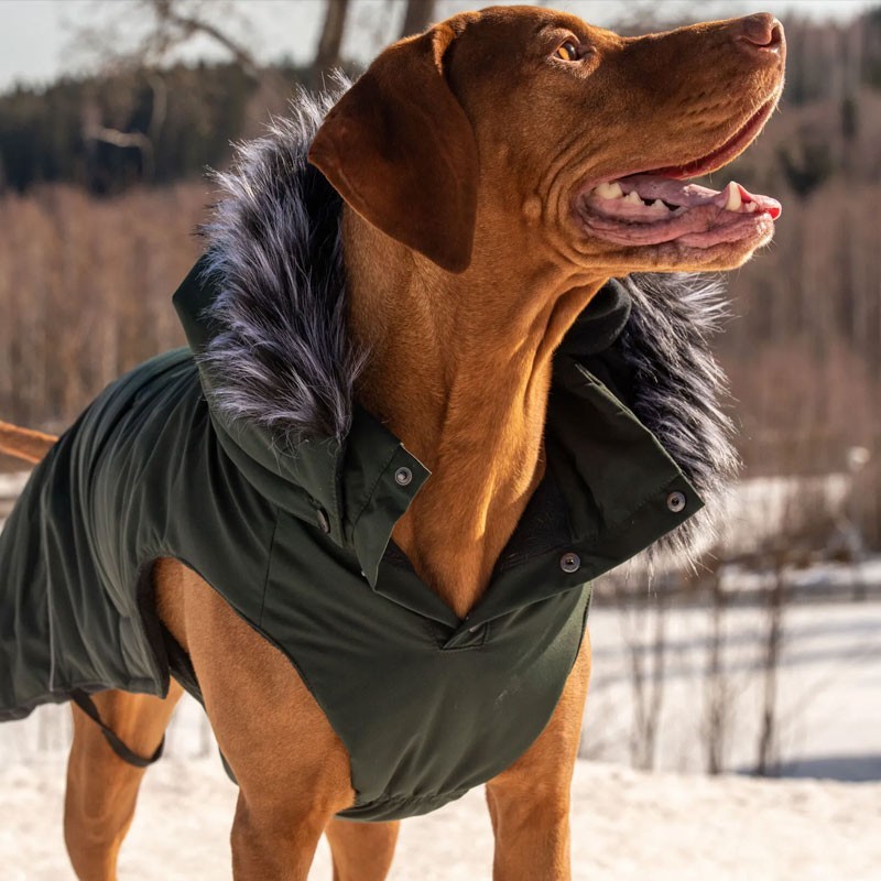 Rukka Frostbiter: chubasquero térmico para perro 10.000 mm