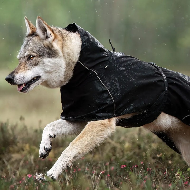 Chubasquero Resistente Rukka Hayton X para Perros