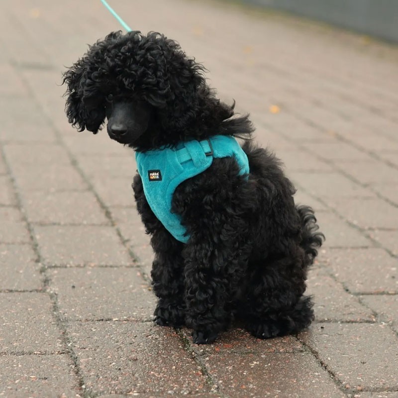 Arnés Rukka Pets Tiny turquesa para perros mini | Smartdog