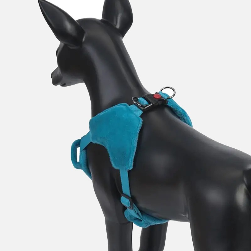 Arnès Rukka Pets Tiny turquesa per a gossos mini | Smartdog