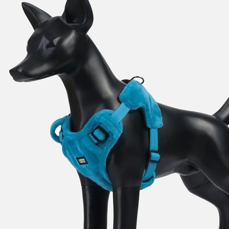 Arnés Rukka Pets Tiny turquesa para perros mini | Smartdog