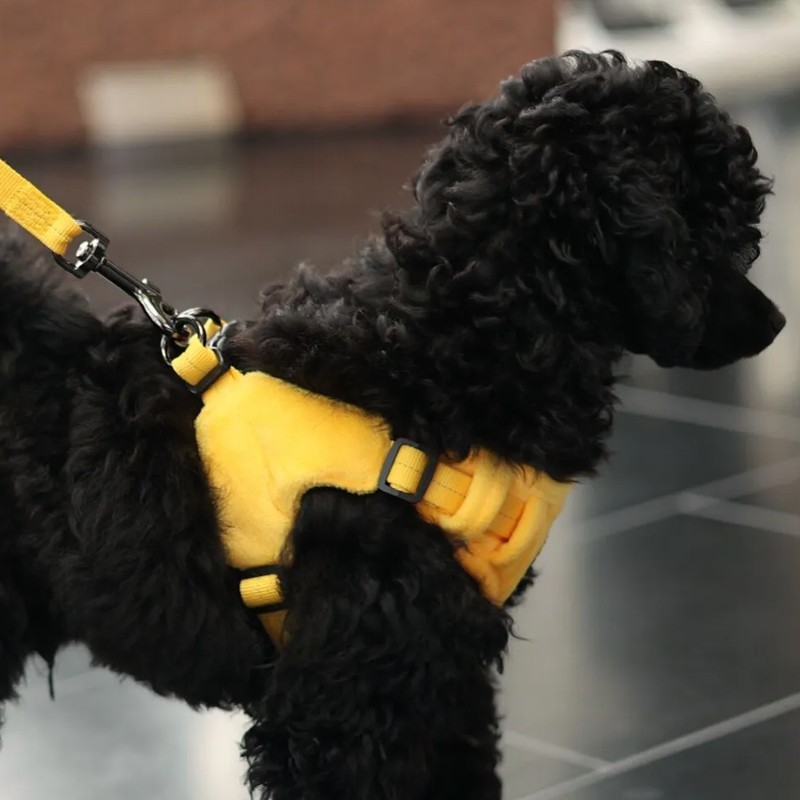 Arnés Rukka Pets Tiny amarillo para perros mini | Smartdog