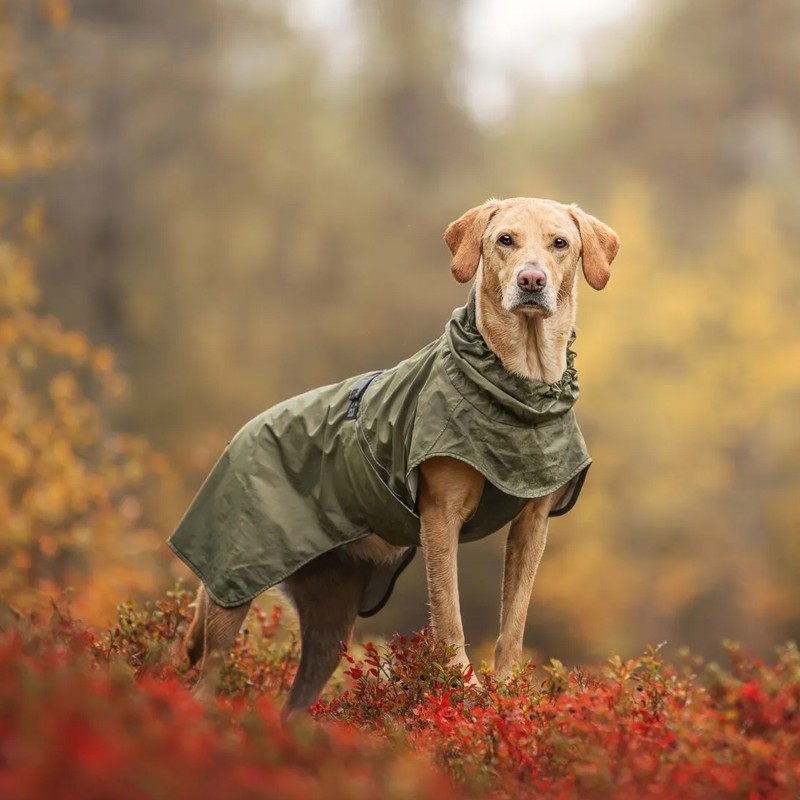 Chubasquero Rukka Ripple Verde Oliva impermeable para perro