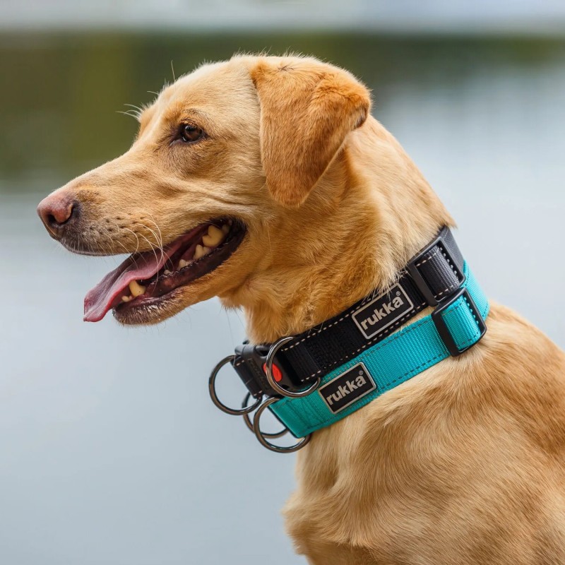 Collar Rukka Pets Bliss turquesa ajustable i reflectant