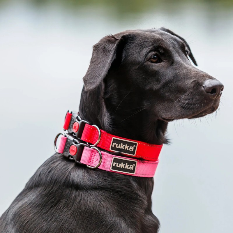 Collar Rukka Pets Bliss fucsia reflectante | Smartdog