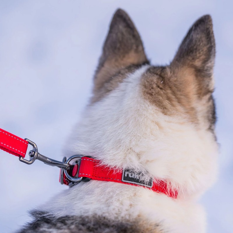 Collar Rukka Pets Bliss vermell ajustable i reflectant