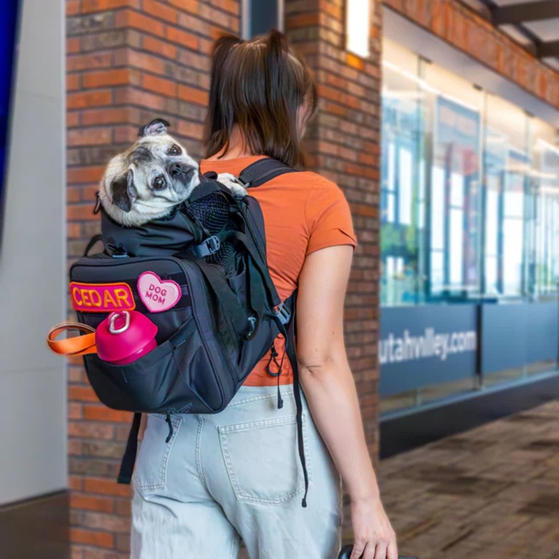 K9 Sport Sack SkyPack | Motxilla transportí per a gos