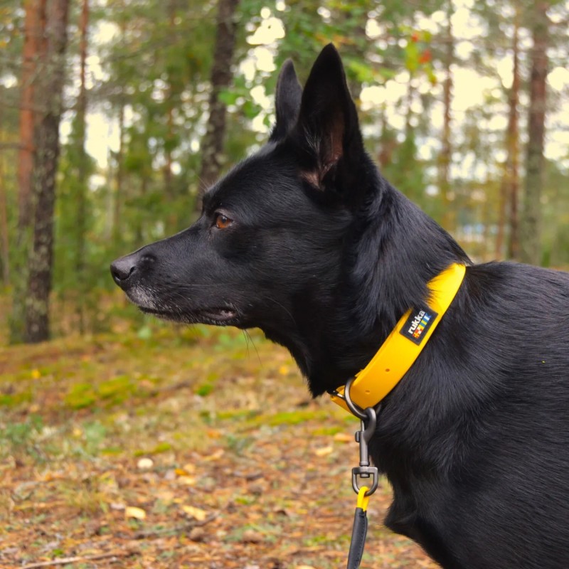 Collar Rukka BioDiPro impermeable para perro | Smartdog