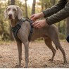 Arnés de seguridad Rukka Star para perro con asa | Smartdog