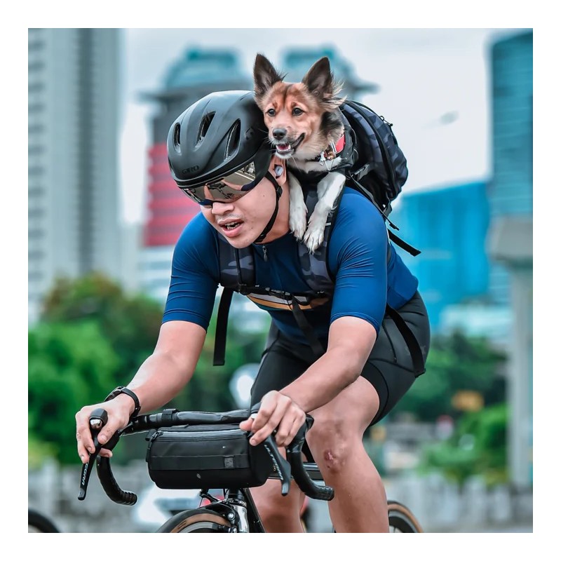 K9 Sport Sack Air 2 | Motxilla transpirable per a gos