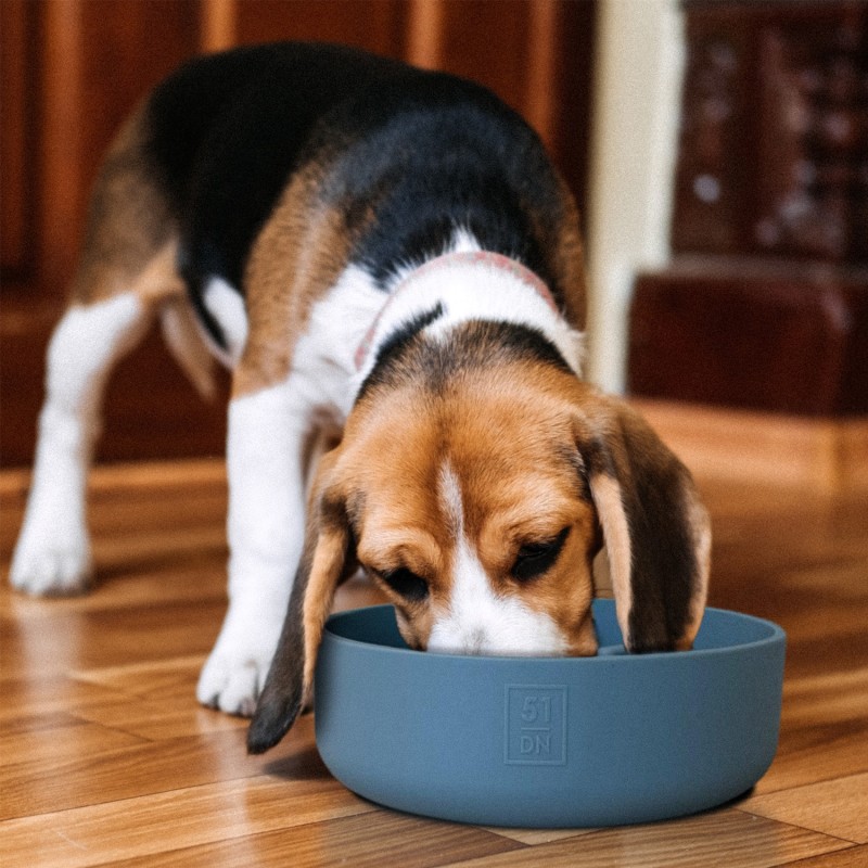 Comedero de silicona 51DN Sili Bowl Arena | Smartdog
