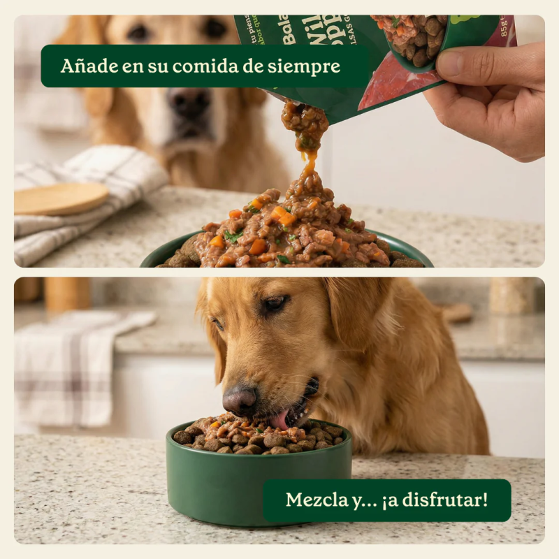 Wild Balance Topper de Salmón para Perros