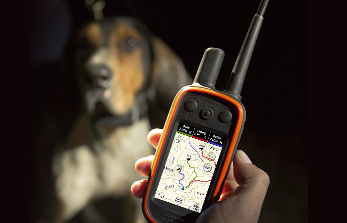 collar gps