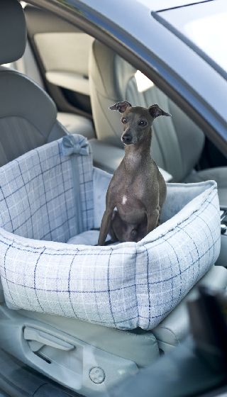 Asiento perro coche