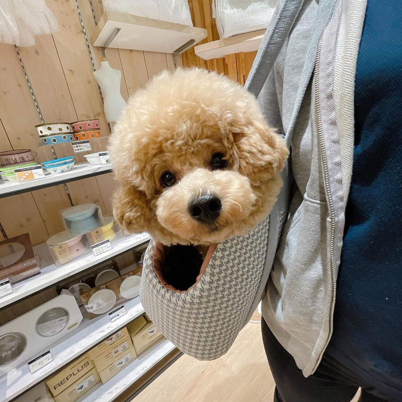 Bolso para caniche toy outlet