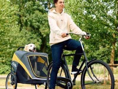 Guía Completa De Carritos Para Perros 2025
