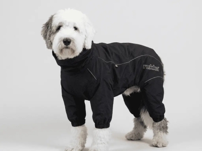 Qué chubasquero elegir para tu perro: guía definitiva para acertar