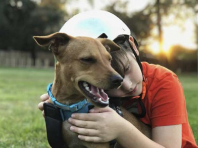 Las 11 razas de perros mas adecuada para niños autistas