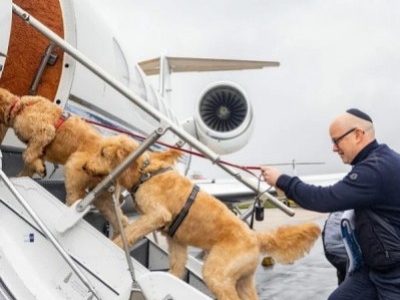 K9 Jets, un vuelo privado para tu mascota