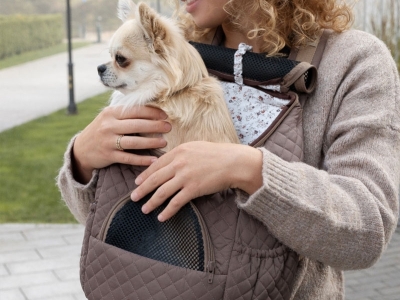 ¿Cuál es el mejor bolso para llevar un chihuahua?