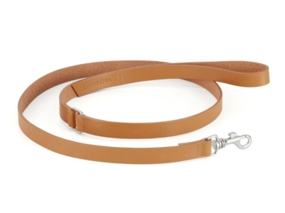 Correas para Caniches: Longitud, Materiales y Recomendaciones