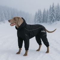 7 Opciones de Chubasquero Perro para la Lluvia en 2025